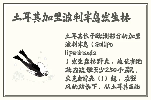 你男人晚上是怎样要你的